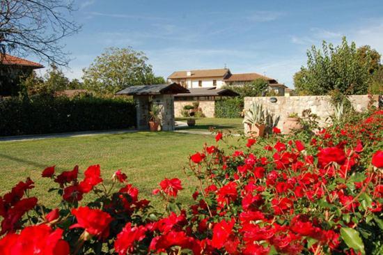 Ronc Dai Luchis Holiday home *